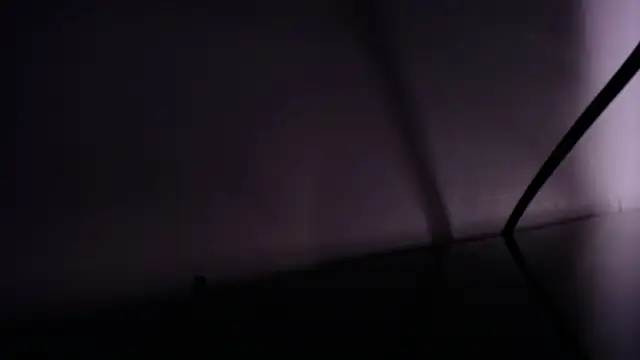 Tamararosses's cam snapshot