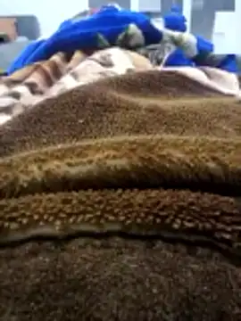 Amin_Dz-20 live sex cam