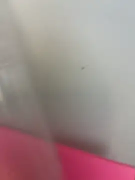 012ptaDickBBC live sex cam