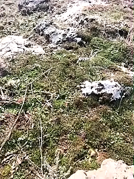 Sert_erkek21_ysm's cam snapshot