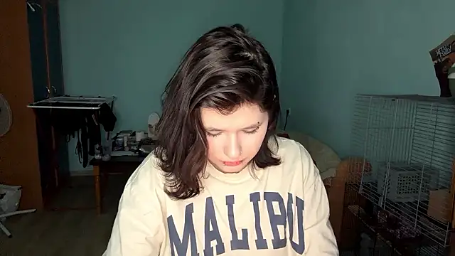 PalihSushi's cam snapshot