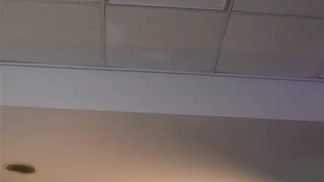 JamilaMaiden's cam snapshot