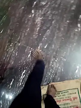 dolphiinn's cam snapshot