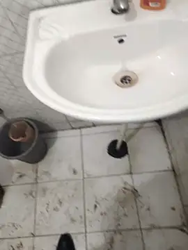 indiahunter's cam snapshot