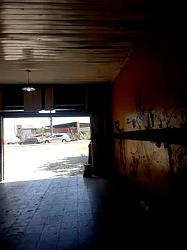 hecwil8 live sex cam