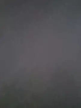 mitulik84 live sex cam