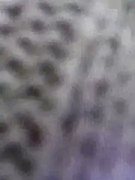 Hot-Sana2 live sex cam