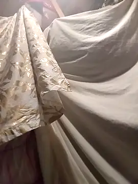 BulbasaurIsmettv's cam snapshot