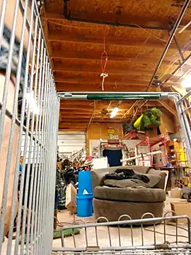 Jerkinmekerkin live sex cam