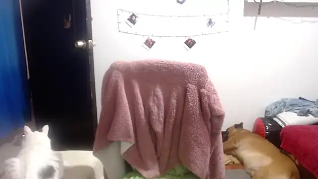 electra-mommy's cam snapshot