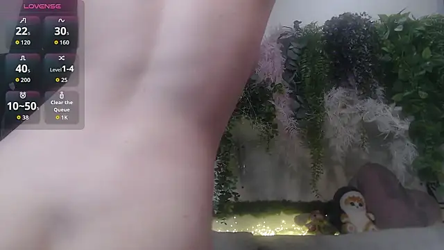 scyrim2's cam snapshot