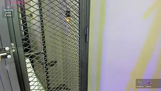 MarcoVitto live sex cam