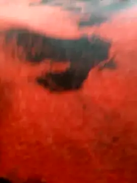 Swirly_blac live sex cam