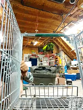 Jerkinmekerkin live sex cam