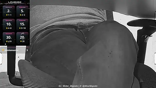 Mister_Majestic live sex cam