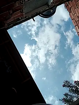 Big_tits69's cam snapshot