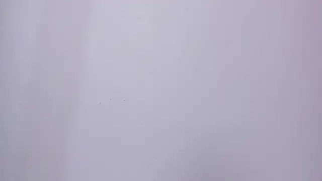 foxy__isabella's cam snapshot