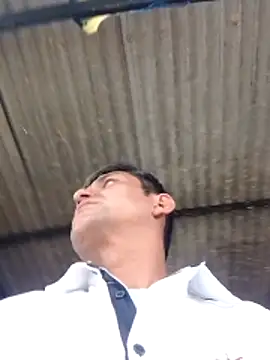 TattyFoxglove's cam snapshot