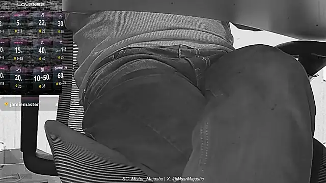 Mister_Majestic's cam snapshot