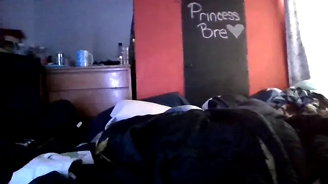 princessbr_013's cam snapshot