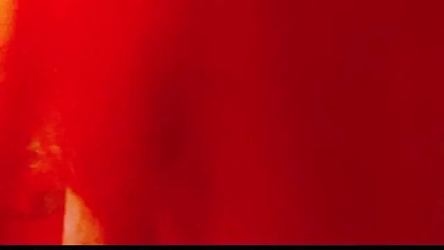 dairia_meraky live sex cam