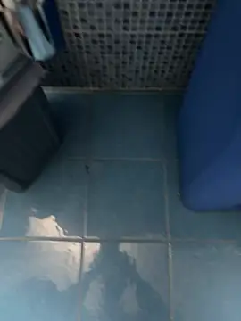 hotcgat live sex cam