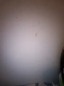 bruna_safadinhaa live sex cam