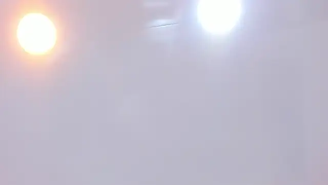 Lannajansen's cam snapshot