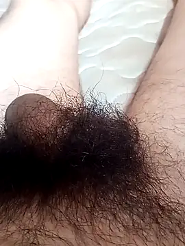 rodovlaz's cam snapshot