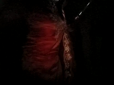 yes_crossy's cam snapshot