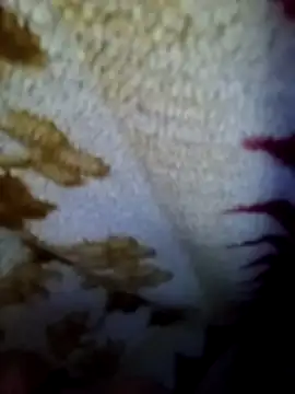 Alone_b0's cam snapshot