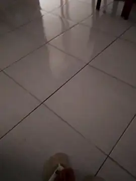 souseu83's cam snapshot