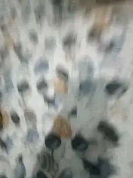 LEOMEGHA2026's cam snapshot