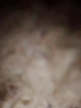 Misthi_hot live sex cam