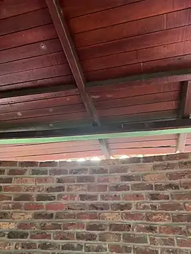 Couple_latinX live sex cam