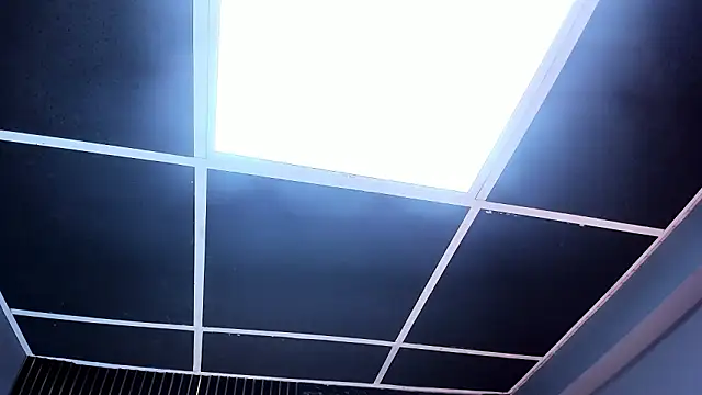 Siena_morales live sex cam