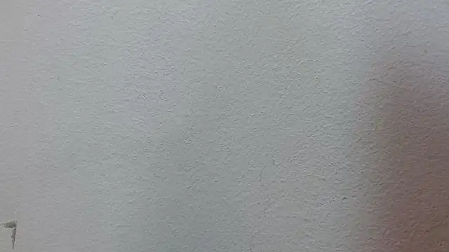 JackSwan18 live sex cam