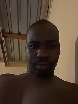 solodrive live sex cam