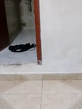 Juanstevan2724's cam snapshot