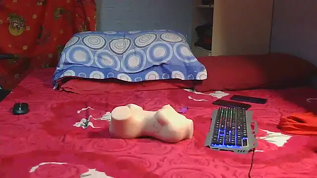 Pintiliescu's cam snapshot