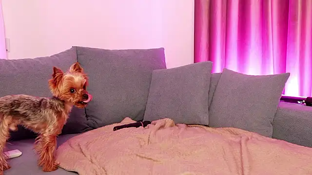 BaayBee__'s cam snapshot