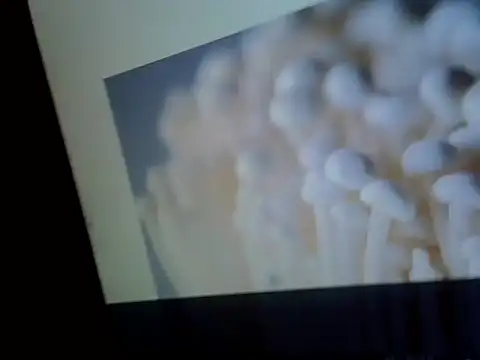 la-fee-pas-chier's cam snapshot