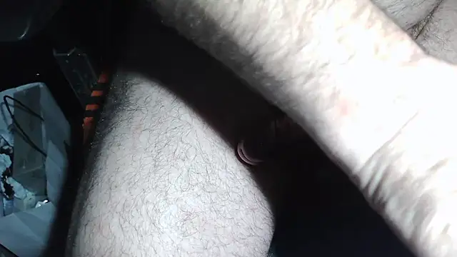 911rsrgelb's cam snapshot