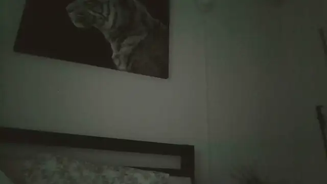 cryptokimgirl's cam snapshot