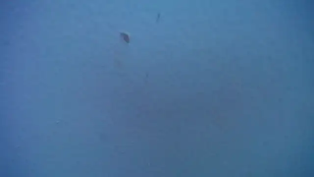 Dogan_Renzo0's cam snapshot