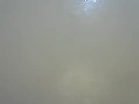 Rasta_tattooed live sex cam