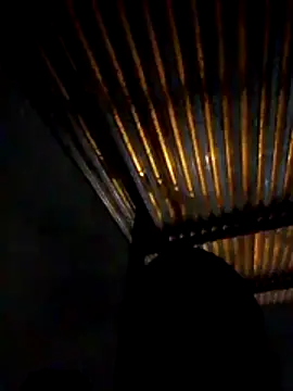 jary98's cam snapshot