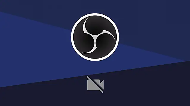 Beedream's cam snapshot