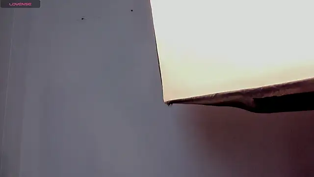 sofiapalacioss's cam snapshot