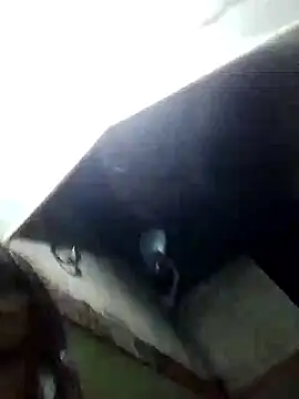 XxxXeduRLupit's cam snapshot